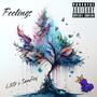 Feelings (feat. Sunjoy) [Explicit]