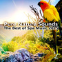 Pure Nature Sounds – The Best of Spa Music 2015, Meditation, Yoga, Relaxing Sounds to Sleep, White N