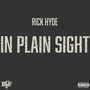 In Plain Sight (Explicit)