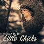 #Sounds of Little Chicks: 15 Songs with the Background of Nature and Singing of Birds for Simply Relaxation, Ambient Music, Melodies of Piano, Feel Better with Amazing New Age Music