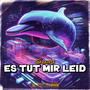 ES TUT MIR LEID (Explicit)