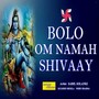 Bolo Om Namah Shivaay