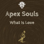 What Is Love (Vocal Mix)