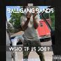 Who Tf Is Joe? (Explicit)