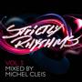 Strictly Rhythms Volume 3 (Mixed by Michel Cleis)