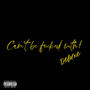 Can't be ****** with (deluxe) [Explicit]