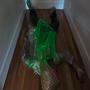 Fun Music . . . (Explicit)