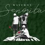 Senorita (Sped Up Version) [Explicit]