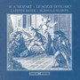 Mozart, W.A.: Nozze Di Figaro (Le) [The Marriage of Figaro] [Opera]