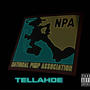 NPA (Explicit)