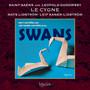 Saint-Saëns: Le carnaval des animaux, R. 125: XIII. Le cygne (Arr. Godowsky for Cello & Piano)