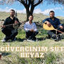 Güvercinim Süt Beyaz