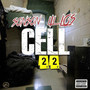 Cell 22 (Explicit)