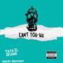 Can't You See (Explicit)