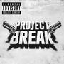 Project break