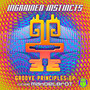 Groove Principles EP