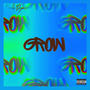 GROW (Explicit)