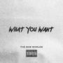 What You Want (Explicit)