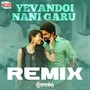 Yevandoi Nani Garu Remix (From 