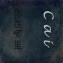 你在哪里