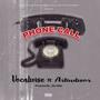 Phone Call (feat. Artindisor)