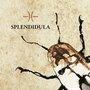 Splendidula