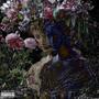 fake mink . (Explicit)
