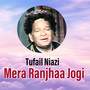 Mera Ranjhaa Jogi