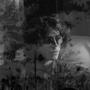 Wreck My Body (Explicit)