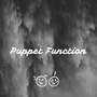 Puppet Function