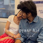 Tumse Pyaar Hai
