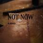 Not Now (feat. RaDizz)