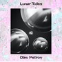 Lunar Tides
