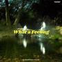 What a feeling (feat. El menfi) [Explicit]