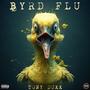 BYRD FLU (Explicit)