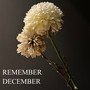 Remember December