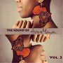 The Sound of ArinMaya, Vol. 2