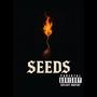 Seeds (Explicit)