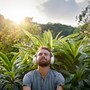 La Sinfonía De La Serenidad: Música Orquestal Para Una Relajación Profunda