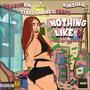 Nothing Like You (feat. Stallionaires Pooch) [Explicit]