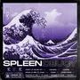 SPLEEN (Explicit)