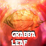 Grabba Leaf (Explicit)