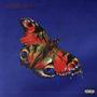 Butterfly Effect 2 (Explicit)