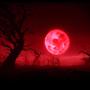 Blood Moon