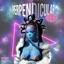 Perpendicular Universe (Explicit)