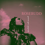Planted, Not Buried (Explicit)
