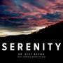 Serenity (feat. Garfield Bright of Shai)