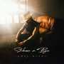 Sabor a Bye (Explicit)