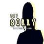 Say Sorry