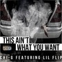 This Ain't What You Want (feat. Lil Flip) [Explicit]